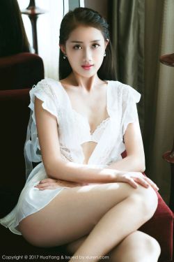 新杨门女将电视剧1